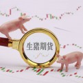 知叙小哥的头像